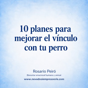 Diez planes para mejorar el v&iacute;nculo con tu perro