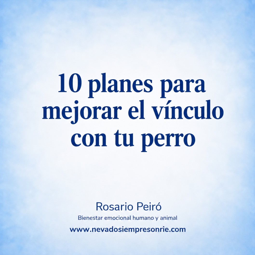 Diez planes para mejorar el v&iacute;nculo con tu perro