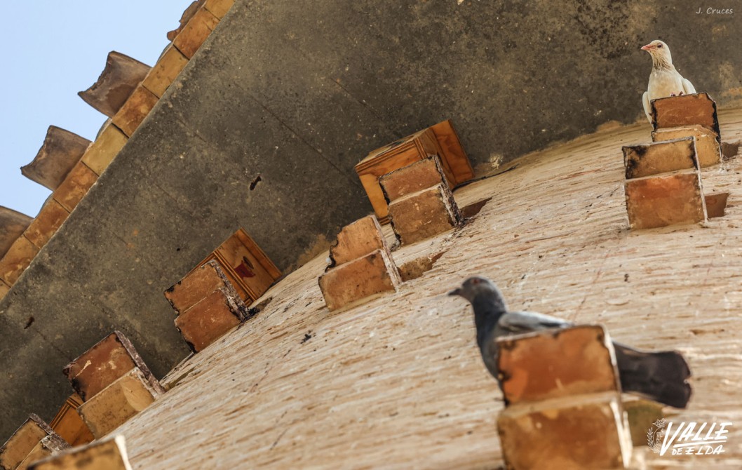 Llegan las cajas nido a diferentes enclaves de la ciudad para proporcionar refugio a aves y murciélagos Llegan las cajas nido a diferentes enclaves de la ciudad para proporcionar refugio a aves y murciélagos