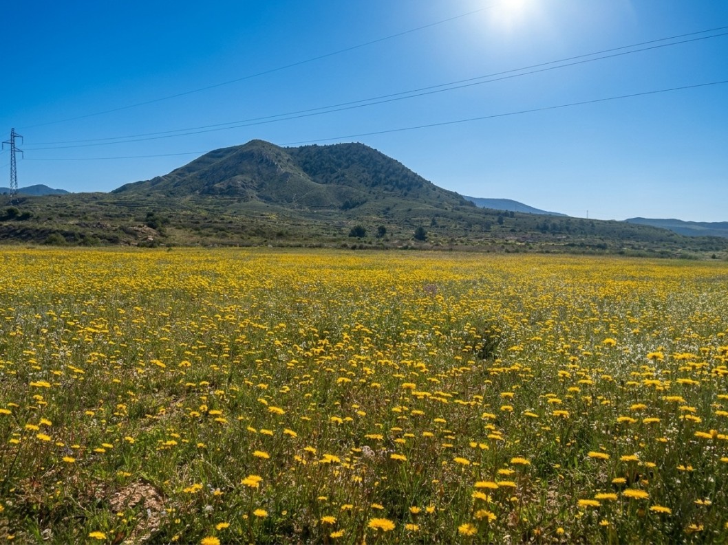 Temperaturas altas para esta &eacute;poca del a&ntilde;o