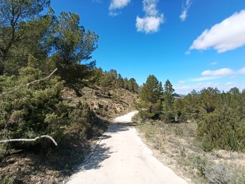 Elda se prepara para el verano con trabajo de prevenci&oacute;n de incendios forestales en la vertiente norte de Camara