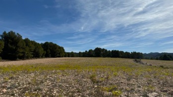 Temperaturas altas para esta &eacute;poca del a&ntilde;o