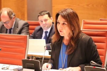 El Senado aprueba dar apoyo econ&oacute;mico al Museo del Calzado para salvarlo