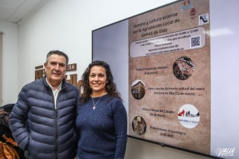 Las AMPAS organizan cuatro visitas culturales para que los menores conozcan el patrimonio local