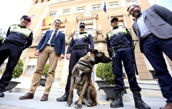 Lobo llega a la Polic&iacute;a Local de Elda para combatir el consumo de estupefacientes en espacios p&uacute;blicos