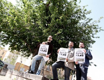 La Ruta Arbolado Singular se realiza por primera vez para dar a conocer los ejemplares arbóreos del núcleo urbano