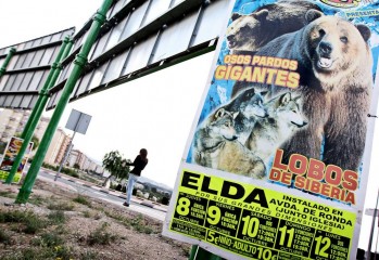 Los circos con animales no volver&aacute;n a Elda