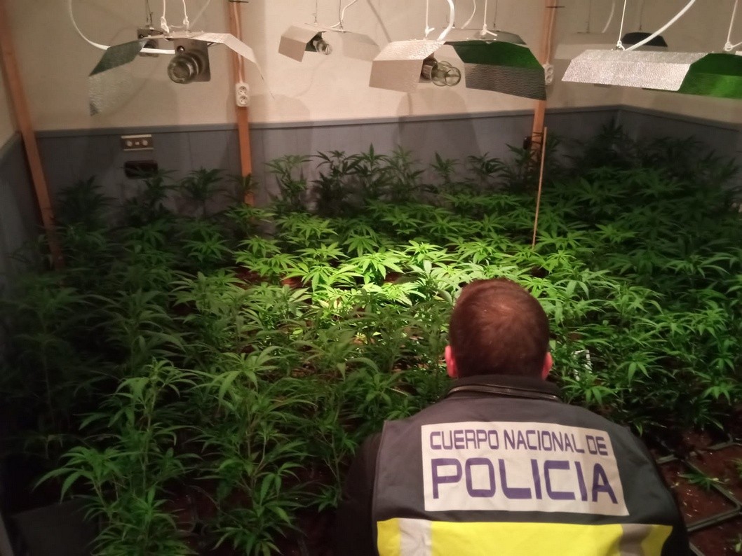La Policía Nacional detiene a siete hombres tras desmantelar varias plantaciones de marihuana La Policía Nacional detiene a siete hombres tras desmantelar varias plantaciones de marihuana