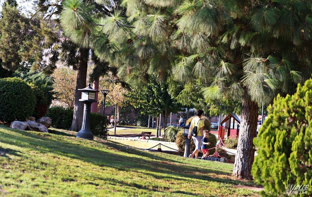 Petrer se propone mejorar el estado general de sus parques y jardines Petrer se propone mejorar el estado general de sus parques y jardines