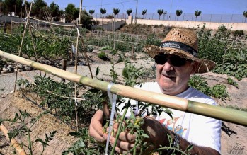 El Ayuntamiento estudiar&aacute; crear m&aacute;s huertos ecol&oacute;gicos municipales si es necesario