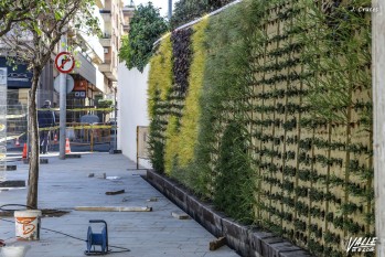 La Plaza del Zapatero contar&aacute; con 50 &aacute;rboles, plantas arbustivas y un jard&iacute;n vertical