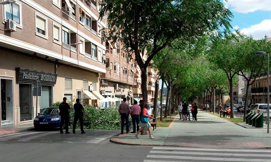Un árbol se parte por la mitad y corta un carril de la avenida Felipe V de Petrer Un árbol se parte por la mitad y corta un carril de la avenida Felipe V de Petrer