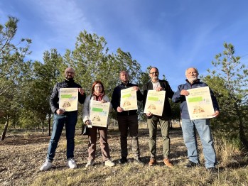 Petrer celebrar&aacute; el D&iacute;a del &Aacute;rbol el pr&oacute;ximo 4 de febrero