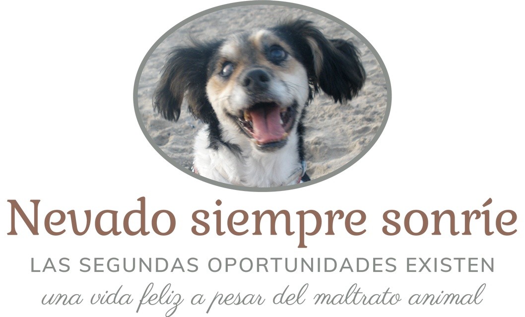Descubre "Nevado siempre sonríe", un blog solidario cuyo objetivo es dar voz a los animales y luchar por sus derechos Descubre "Nevado siempre sonríe", un blog solidario cuyo objetivo es dar voz a los animales y luchar por sus derechos