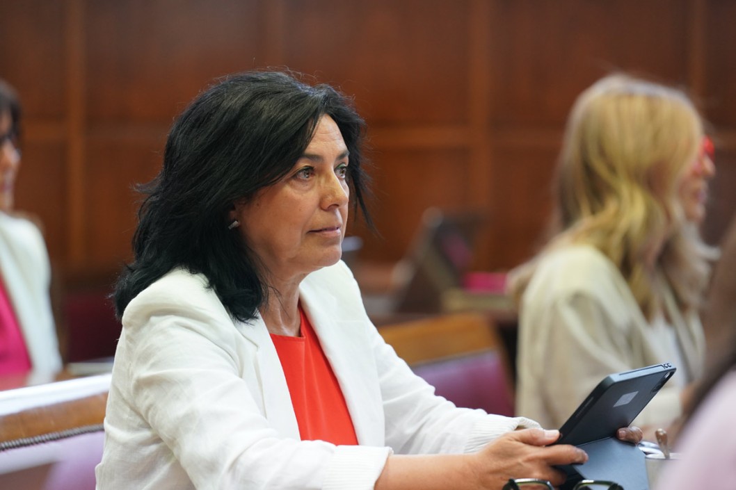 La senadora eldense Loles Esteve defiende la ampliaci&oacute;n de la potencia el&eacute;ctrica en pol&iacute;gonos