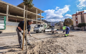 Petrer crea un jard&iacute;n con compost conseguido a trav&eacute;s del reciclado