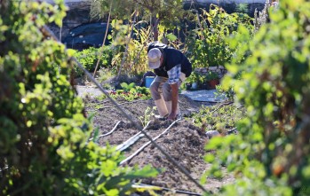 Jornada de puertas abiertas a los huertos ecol&oacute;gicos municipales