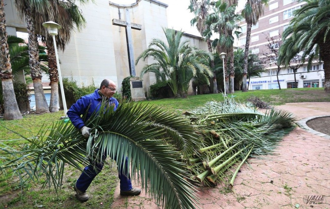 El PP apremia al gobierno a sacar la licitación del mantenimiento de jardines "pues están descuidados" El PP apremia al gobierno a sacar la licitación del mantenimiento de jardines "pues están descuidados"