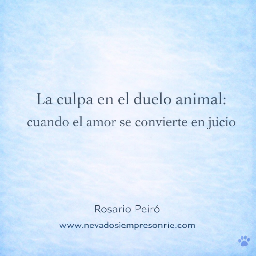 La culpa en el duelo animal