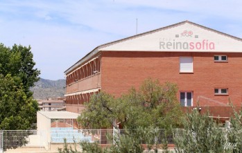 El AMPA del colegio Reina Sof&iacute;a prepara una escuela de verano