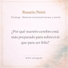 &iquest;Por qu&eacute; nuestro cerebro est&aacute; m&aacute;s preparado para sobrevivir que para ser&nbsp;feliz?