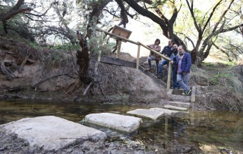 Elda adec&uacute;a una zona de paso en el Pantano