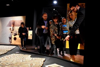 La directora general de Cultura visita el Museo D&aacute;maso Navarro de Petrer