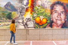 El XXII Certamen de Poes&iacute;a Paco Moll&aacute; de Petrer contar&aacute; con 6.000 euros en premios