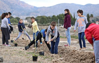 Los estudiantes de Elda plantar&aacute;n m&aacute;s de 600 especies en la Semana de la Reforestaci&oacute;n