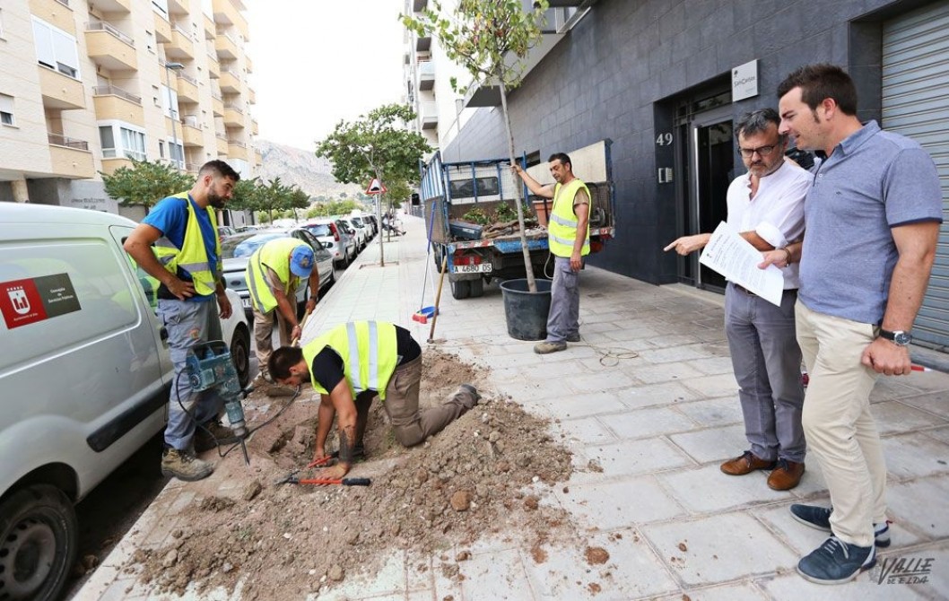 Mantenimiento comienza la repoblación de árboles de la ciudad Mantenimiento comienza la repoblación de árboles de la ciudad