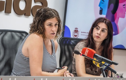 Elda aprobar&aacute; su III Plan de Igualdad