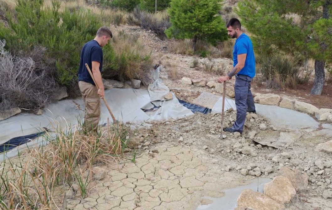 Medio Ambiente de Elda mejora la pinada del Trinitario Medio Ambiente de Elda mejora la pinada del Trinitario
