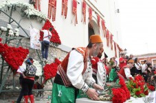 Flores para el patr&oacute;n de una fiesta abierta y acogedora
