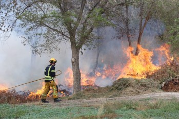 Incendio en los Jardines del Vinalop&oacute;