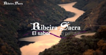 La viticultura heroica (2&ordf; parte):  DOP Ribera Sacra