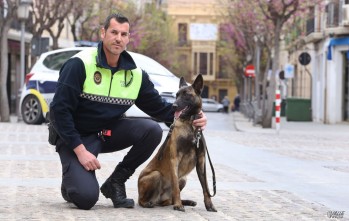 Bimba, la pr&oacute;xima perra polic&iacute;a de Elda