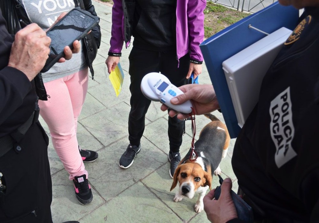 La Policía Local de Petrer intensifica sus controles de mascotas y pondrá multas de entre 80 y 18.000 euros La Policía Local de Petrer intensifica sus controles de mascotas y pondrá multas de entre 80 y 18.000 euros