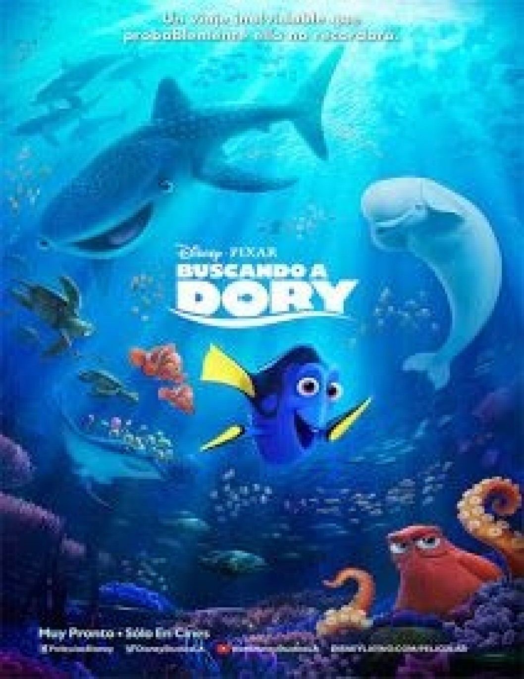 “Cine a la Fresca” se despide esta noche en El Cocoliche con "Buscando a Dory" “Cine a la Fresca” se despide esta noche en El Cocoliche con "Buscando a Dory"