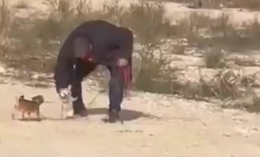 La Polic&iacute;a investiga un posible caso de maltrato animal en Elda tras hacerse viral en redes sociales