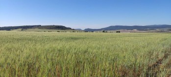 M&aacute;s nubes y temperaturas m&aacute;s apropiadas para esta &eacute;poca del a&ntilde;o