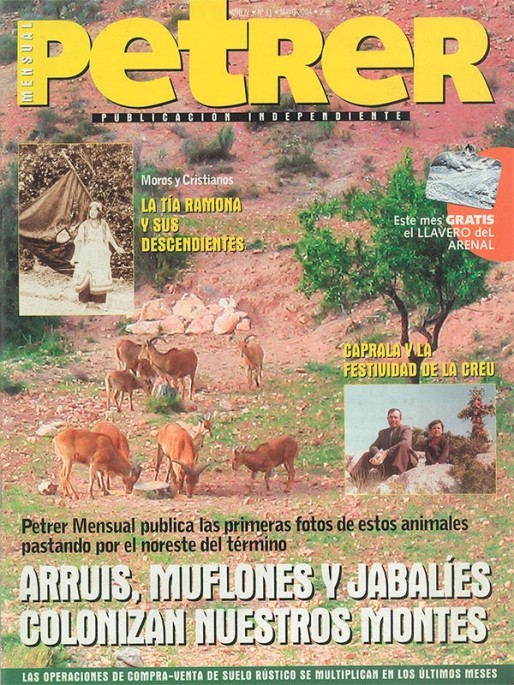 Petrer Mensual N&ordm; 41<span>Mayo de 2004</span>