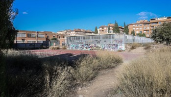 IU pide que se mantengan limpias las sendas a espaldas del IES Paco Moll&aacute; de Petrer