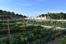 Petrer ampl&iacute;a a tres a&ntilde;os el plazo de cesi&oacute;n de los huertos populares de la Finca Ferrusa