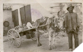 Una cantereria per a l'aigua (2a part)