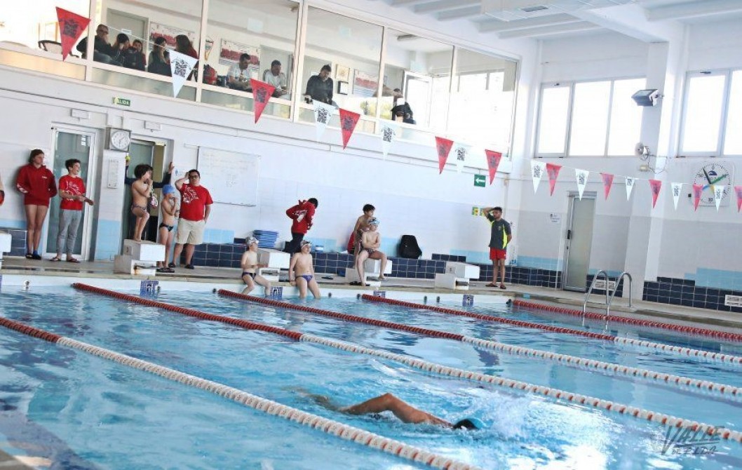 Los nadadores del CEE empiezan con éxito la temporada con 28 medallas Los nadadores del CEE empiezan con éxito la temporada con 28 medallas