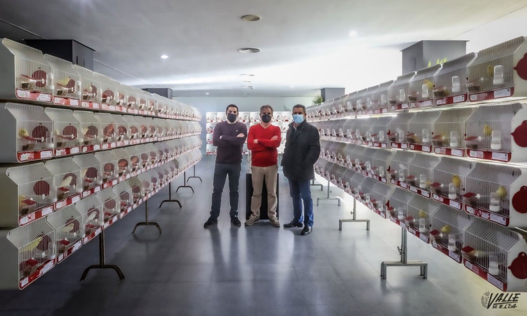 Elda acoge un Concurso Nacional de Ornitología con 1.000 aves este fin de semana Elda acoge un Concurso Nacional de Ornitología con 1.000 aves este fin de semana