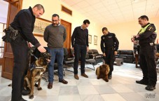 La incautaci&oacute;n de drogas en Elda aumenta un 300% gracias a Lobo y Suso