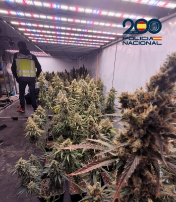 Dos detenidos por tr&aacute;fico de drogas en el centro de Elda
