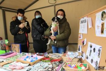 Elda apuesta por la adopci&oacute;n de mascotas