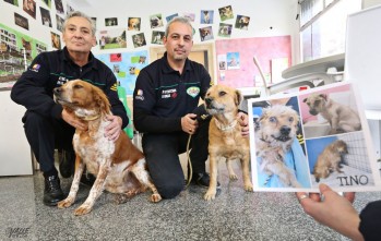 Una asociaci&oacute;n por la defensa legal de los animales